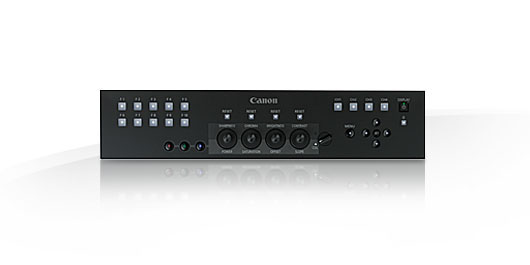 DP-V3010