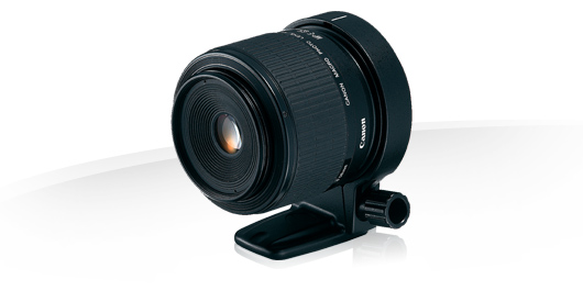 MP-E-65mm f2.8 1-5x Macro Photo